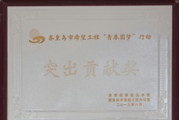 突出贡献奖