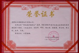荣誉证书